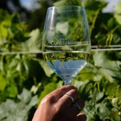 Groot Constantia a WWF Conservation Champion