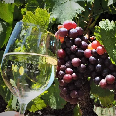 Groot Constantia named one of South Africa's best wine cellars