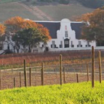 Groot Constantia release rare 'Vintage Wines'