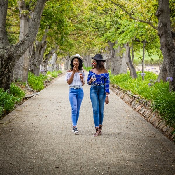 Celebrate Sauvignon Blanc At Groot Constantia All Year Long