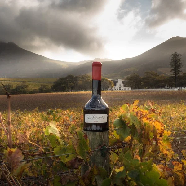 GROOT CONSTANTIA HONOUR & CELEBRATE FRANCE