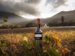 Read more about the article GROOT CONSTANTIA HONOUR & CELEBRATE FRANCE