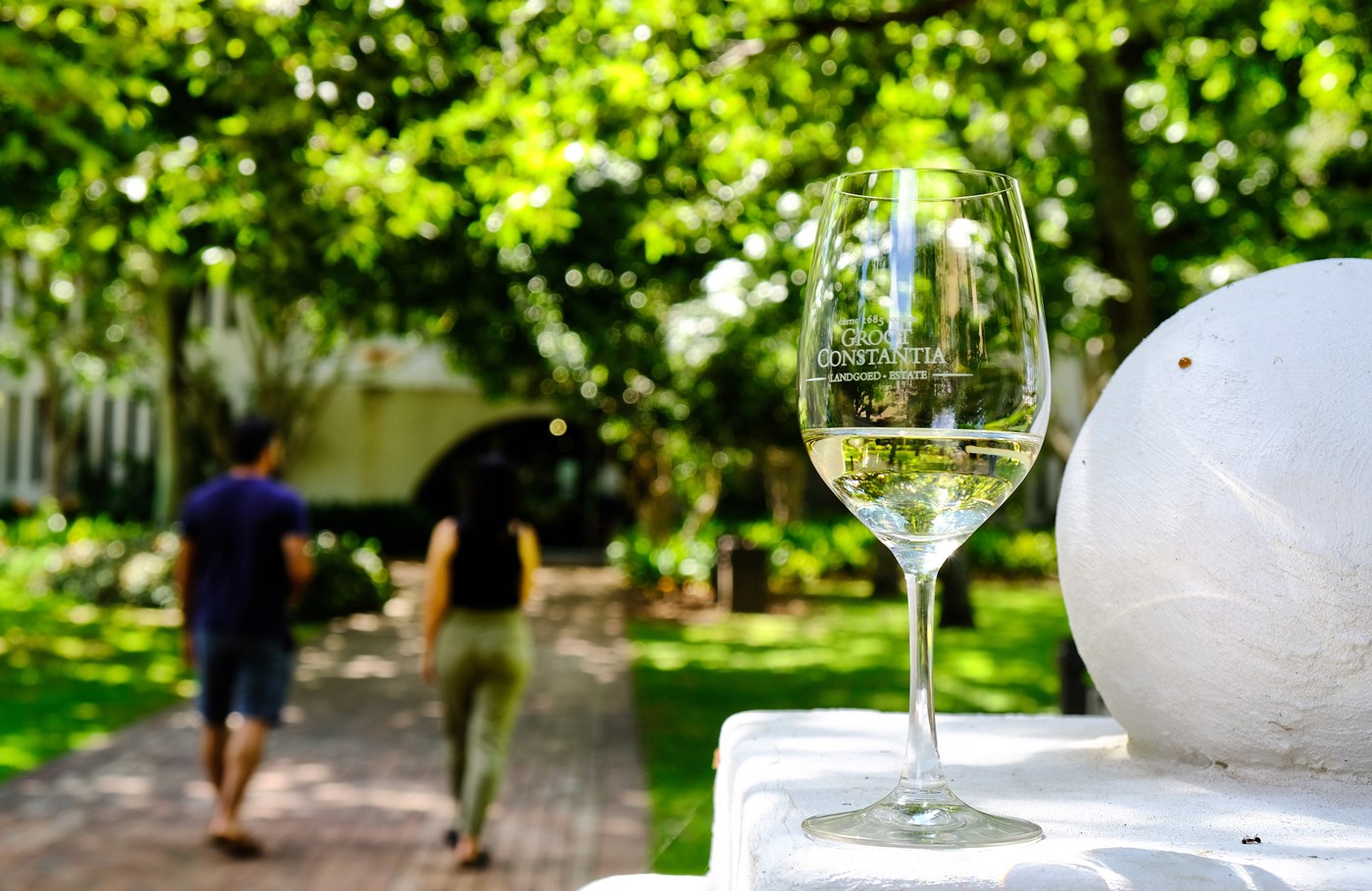 Read more about the article Groot Constantia’s wines excel in the 2024 Platter Wine Guide ratings
