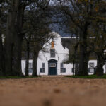 Groot Constantia: Celebrating 340 Years of Winemaking Legacy
